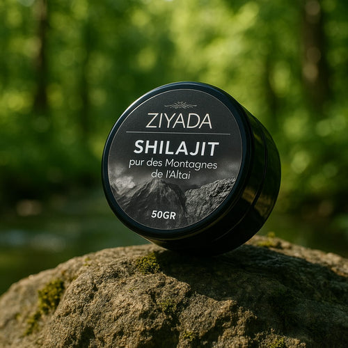 Shilajit Pur des Montagnes de l'Altaï – ZIYADA (50GR)